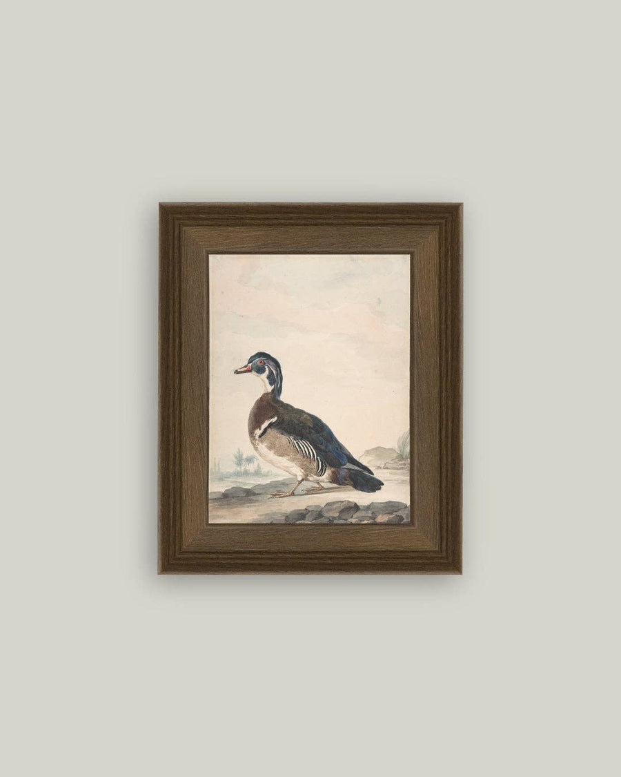 A Duck Painting