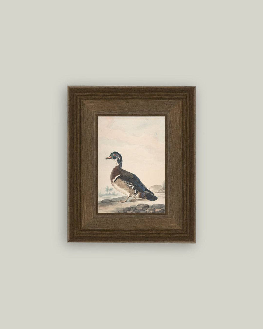 A Duck Painting
