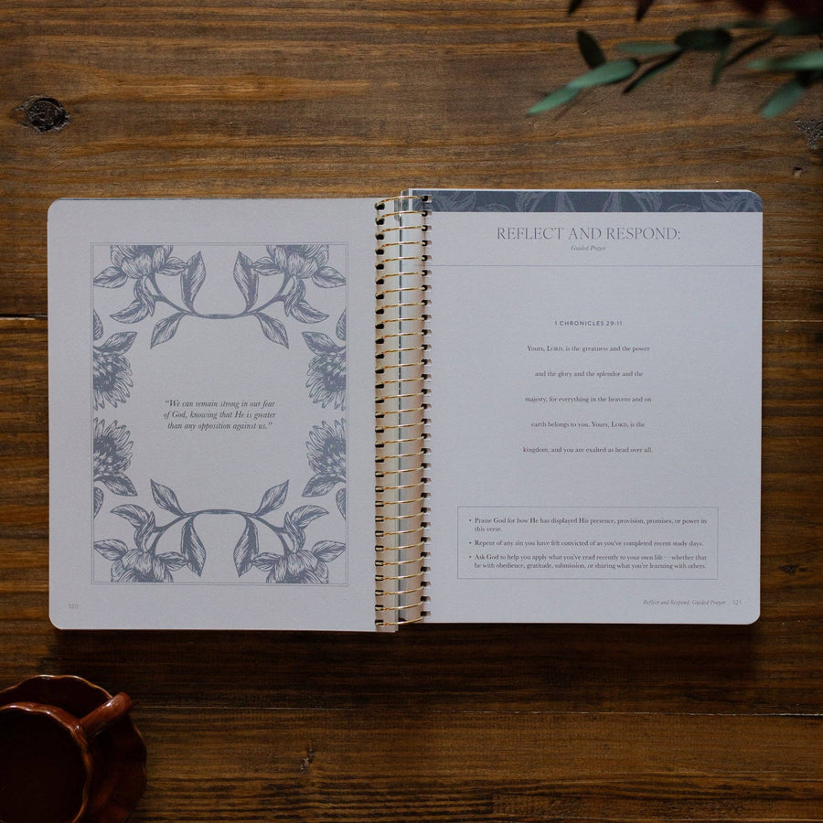 A Year in the Bible | 365 Days of Discovering the Beauty of Jesus from Genesis to Revelation | Volume 2