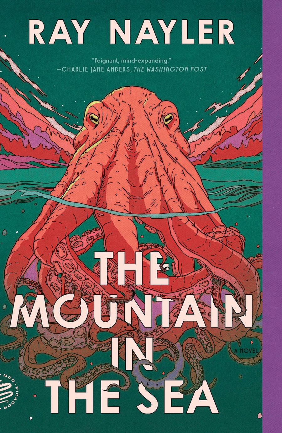 Mountain In The Sea