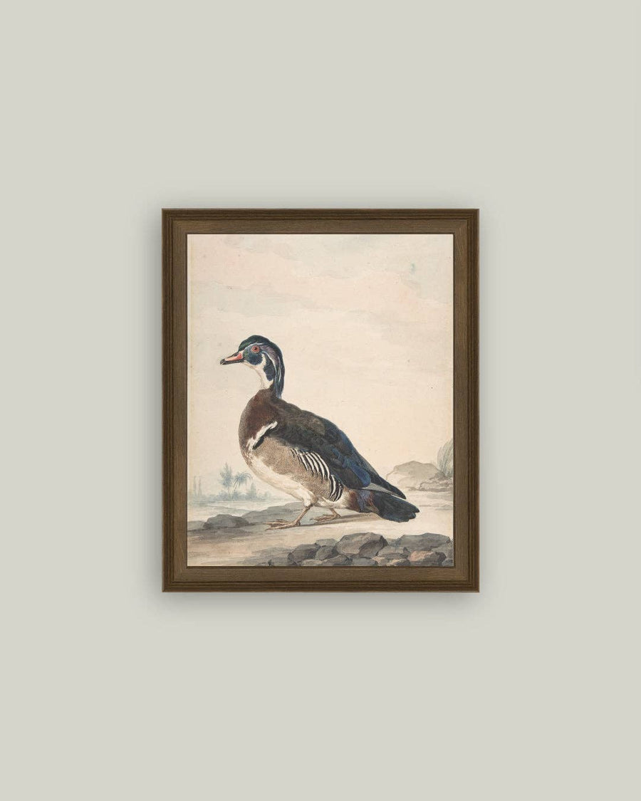 A Duck Painting