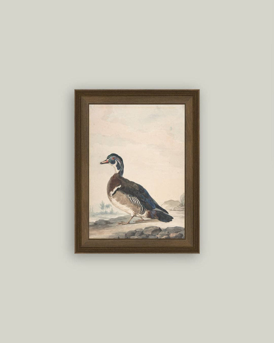 A Duck Painting