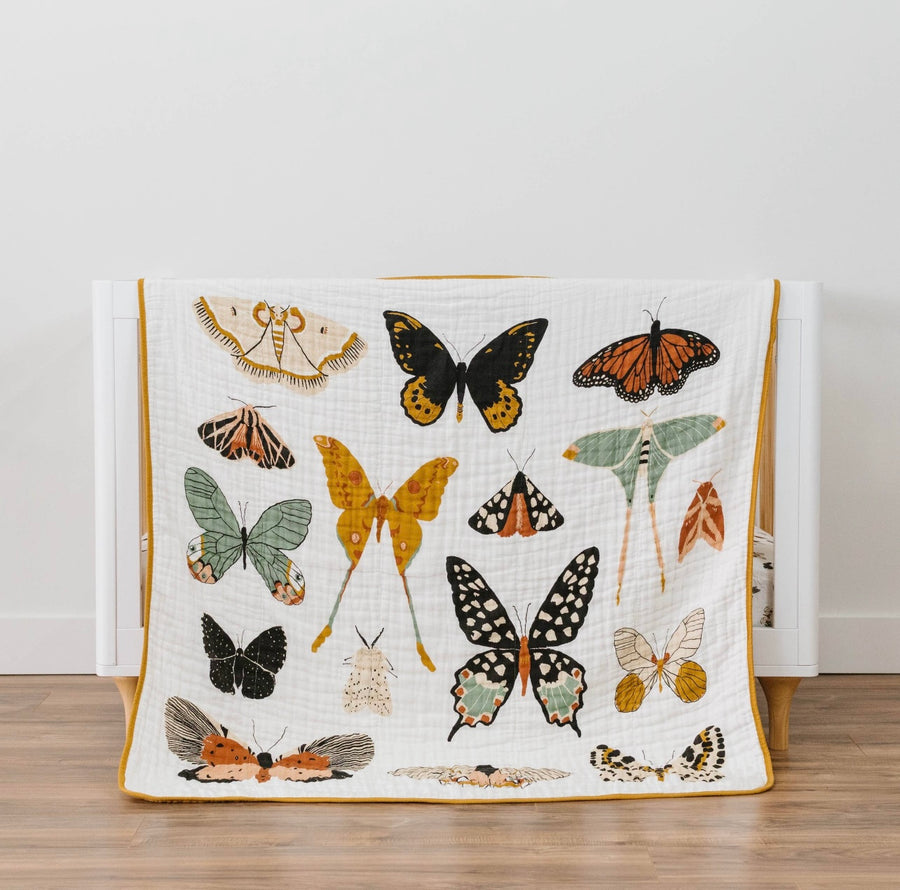 Butterfly Collector Baby Quilt